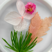 микс 5 (1)