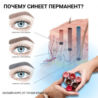 Онлайн-курс: Удаление перманентного макияжа и татуажа