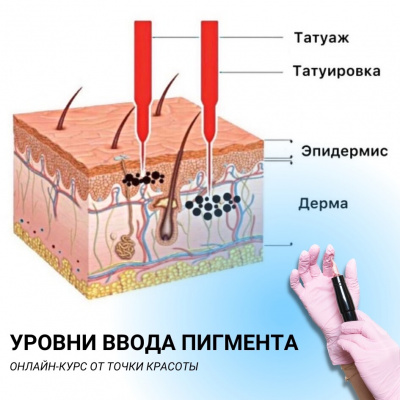Онлайн-курс: Удаление перманентного макияжа и татуажа