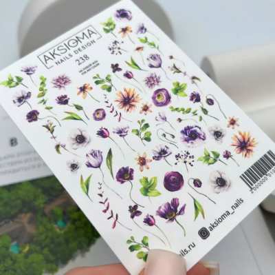 Слайд Aksioma 238
