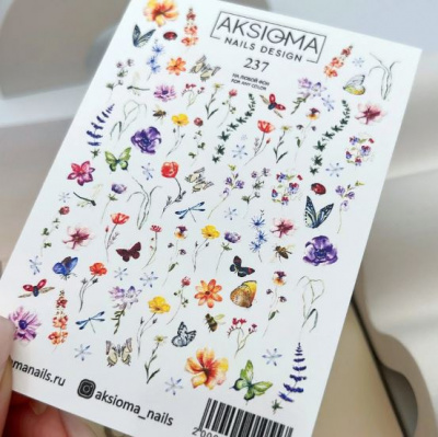 Слайд Aksioma 237