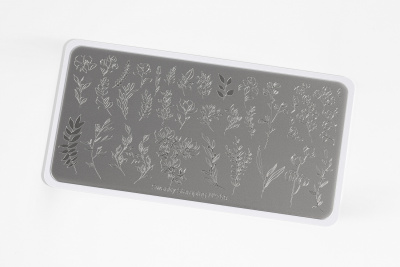 Пластина для стемпинга Swanky Stamping 169