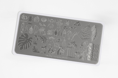 Пластина для стемпинга Swanky Stamping 166